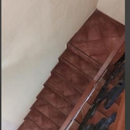 ホテル Casa Del Parque Rotario カンクン エクステリア 写真