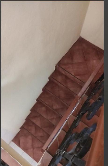 ホテル Casa Del Parque Rotario カンクン エクステリア 写真